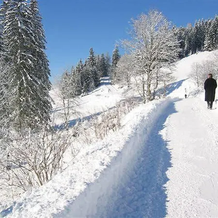 Haus Rigl 아파트 슈라드밍