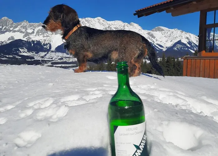 Appartement Haus Rigl *